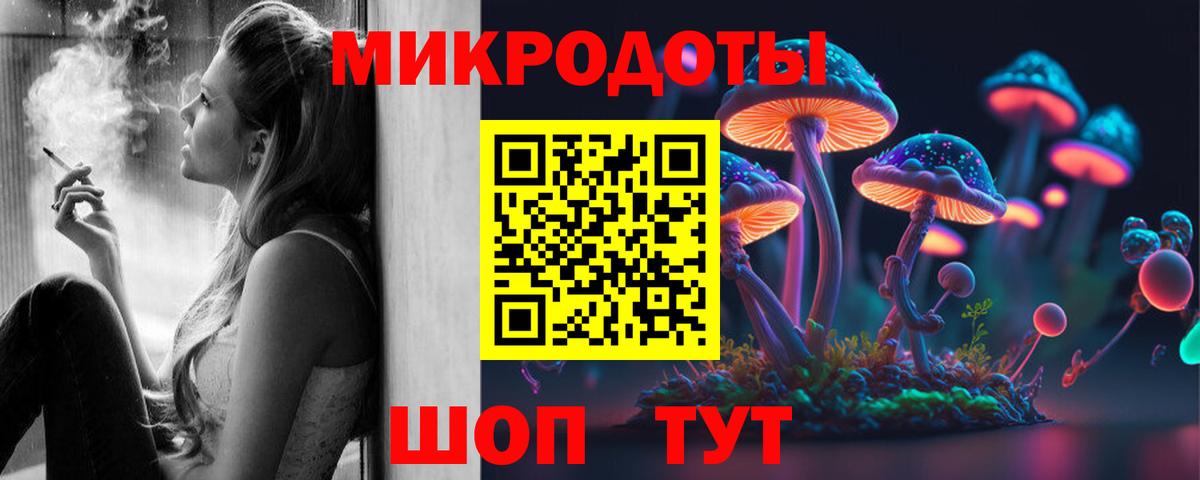 Владикавказ  наркотики  Вход с VPN  Галлюциногенные грибы Psilocybe  Псилоцибиновые грибы прущие грибы 