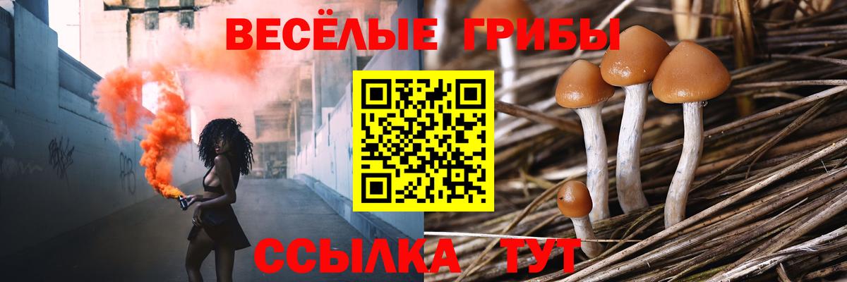 Владикавказ  Кокаин  Конопля  Вход с VPN  Марихуана  NBOMe  Меф МЯУ МЯУ   Гашиш  Кокаин  Альфа ПВП СК   ГАШ 